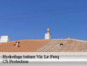 Hydrofuge toiture 30260