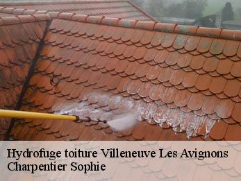 Hydrofuge toiture