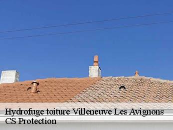 Hydrofuge toiture  30400