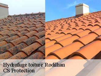 Hydrofuge toiture rodilhan-30230 CS Protection