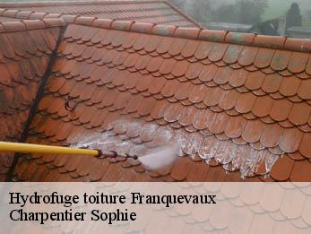 Hydrofuge toiture