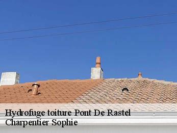 Hydrofuge toiture  30450