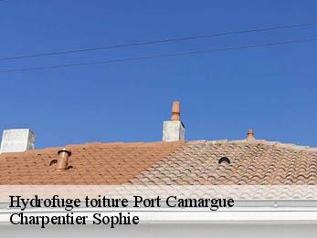 Hydrofuge toiture  30240