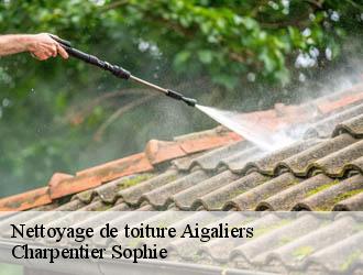 Nettoyage de toiture  aigaliers-30700 Charpentier Sophie