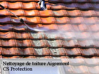 Nettoyage de toiture