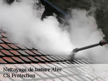 Nettoyage de toiture 30100