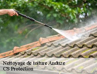 Nettoyage de toiture anduze-30140 CS Protection