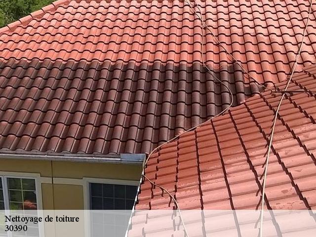 Nettoyage de toiture 30390