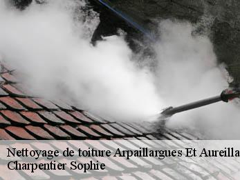 Nettoyage de toiture  30700