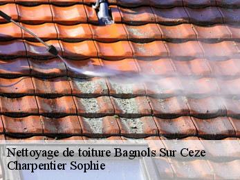 Nettoyage de toiture