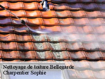 Nettoyage de toiture