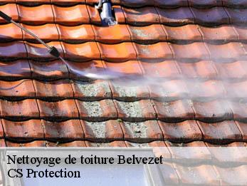 Nettoyage de toiture