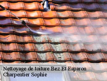 Nettoyage de toiture