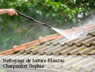 Nettoyage de toiture  blauzac-30700 Charpentier Sophie