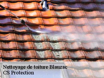 Nettoyage de toiture