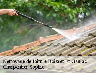 Nettoyage de toiture  boisset-et-gaujac-30140 Charpentier Sophie