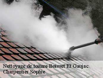 Nettoyage de toiture  30140