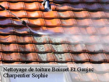 Nettoyage de toiture