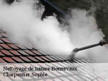 Nettoyage de toiture  30450