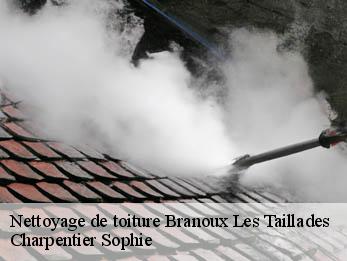 Nettoyage de toiture  30110