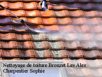 Nettoyage de toiture