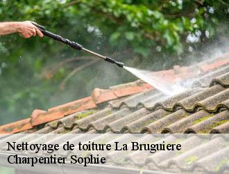 Nettoyage de toiture  la-bruguiere-30580 Charpentier Sophie