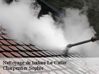 Nettoyage de toiture  30740