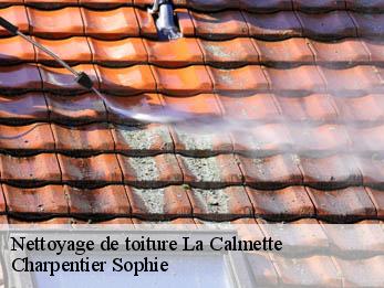 Nettoyage de toiture