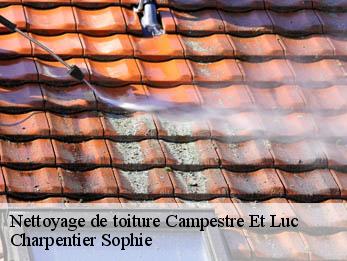 Nettoyage de toiture