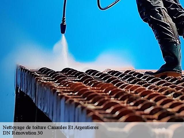 Nettoyage de toiture  canaules-et-argentieres-30350 DN Rénovation 30