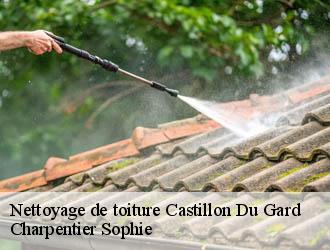 Nettoyage de toiture castillon-du-gard-30210 Charpentier Sophie
