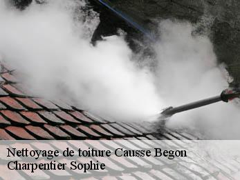 Nettoyage de toiture  30750