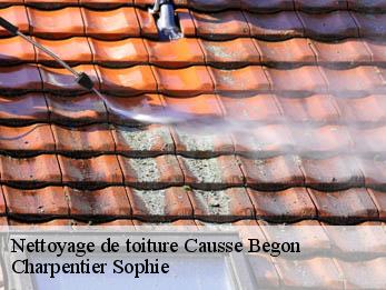 Nettoyage de toiture