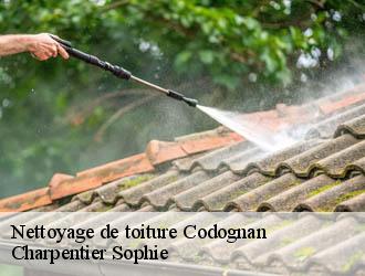 Nettoyage de toiture  codognan-30920 Charpentier Sophie