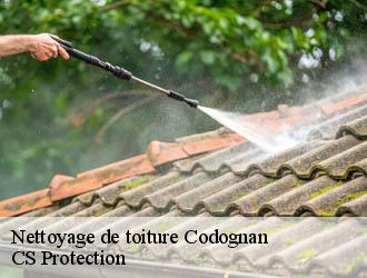 Nettoyage de toiture codognan-30920 CS Protection