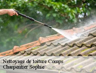 Nettoyage de toiture  comps-30300 Charpentier Sophie