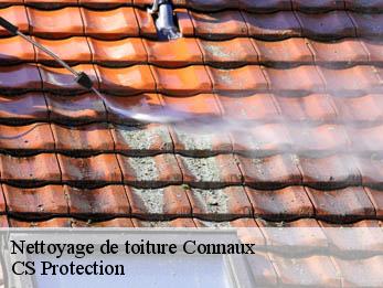 Nettoyage de toiture