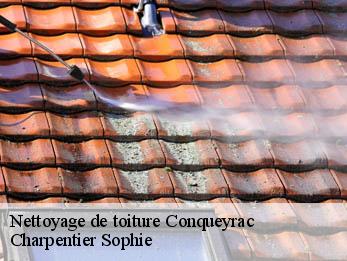 Nettoyage de toiture