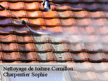 Nettoyage de toiture