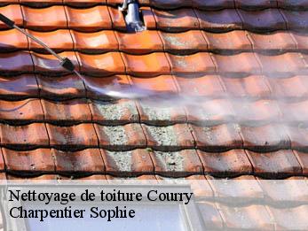 Nettoyage de toiture