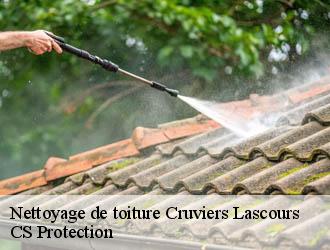 Nettoyage de toiture  cruviers-lascours-30360 CS Protection