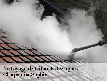 Nettoyage de toiture  30390