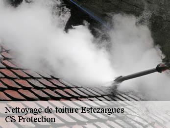 Nettoyage de toiture 30390