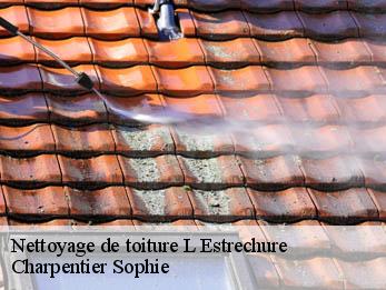 Nettoyage de toiture