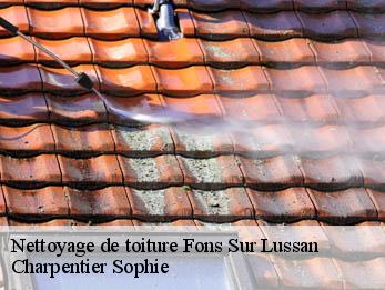 Nettoyage de toiture