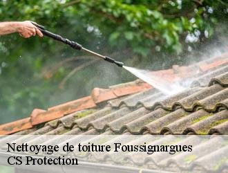 Nettoyage de toiture  foussignargues-30160 CS Protection