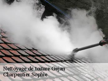 Nettoyage de toiture  30730