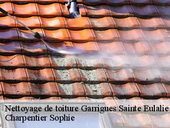 Nettoyage de toiture