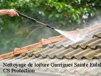 Nettoyage de toiture garrigues-sainte-eulalie-30190 CS Protection