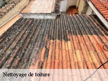 Nettoyage de toiture